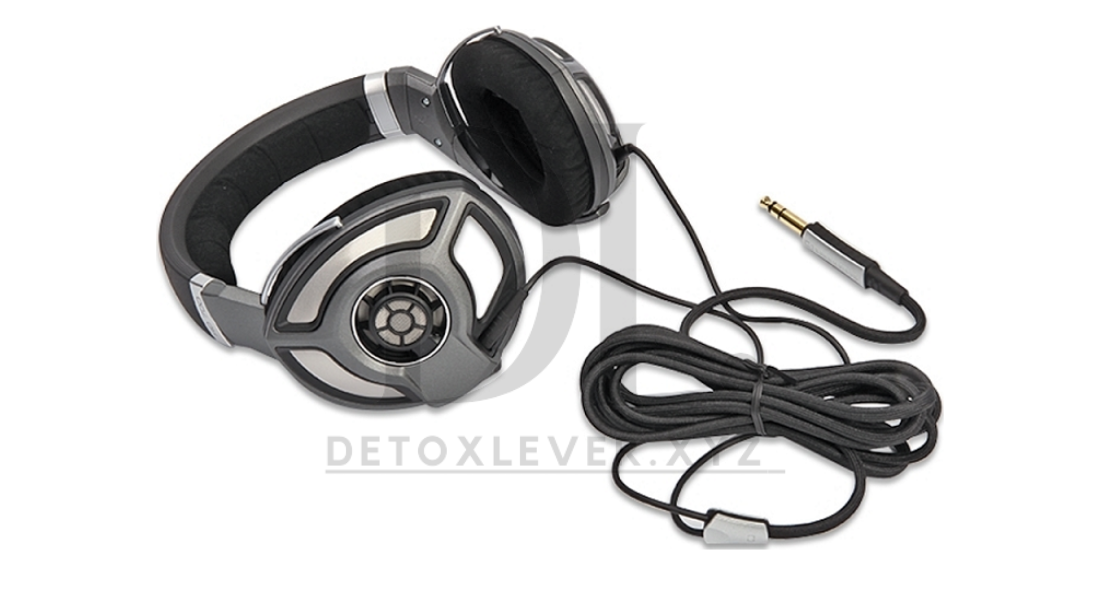 Sennheiser HD 700 Headphones